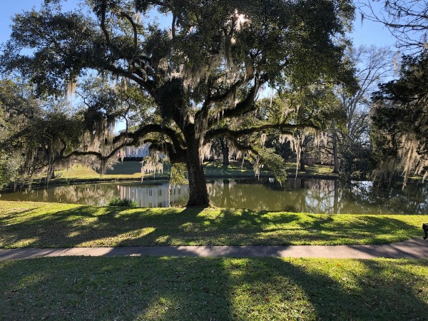 Greenwood Plantation B&B Inn image 4